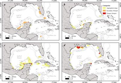 Marine turtle hotspots in the Gulf of Mexico and Mesoamerican Reef: Strengthening management and preparedness